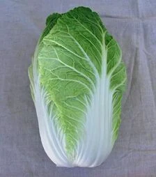 Семена пекинской капусты Форко F1, п.е. 2,5 тыс. семян (Moravoseed)