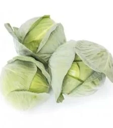 Семена капусты Корсума F1, п.е. 2500 семян (Rijk Zwaan)