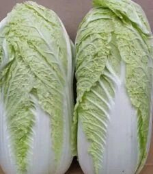 Семена капусты Индекс F1, п.е. 2500 семян (Spark Seeds)