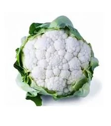 Семена капусты Концепт F1, п.е. 1000 семян (Sakata)