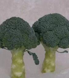 Семена капусты Хронос F1, п.е. 1000 семян (Sakata)