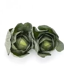 Насіння білоголової капусти Лонгма F1, п.о. 2500 насінин (Rijk Zwaan)