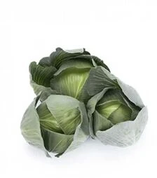 Насіння білоголової капусти Дульсіма F1, п.о. 2500 насінин (Rijk Zwaan)