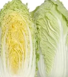 Семена пекинской капусты Ричи F1 Sakata, п.е. 1 тыс. семян (Sakata)