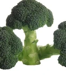 Насіння капусти броколі Міконос F1, п.о. 1 тис. насінин (Sakata)