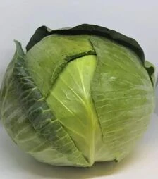 Семена белокочанной капусты ES 2144 F1, п.е. 1 тыс. семян (Ergon)