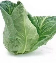 Насіння білоголової капусти Сонсма F1, п.о. 2500 насінин (Rijk Zwaan)