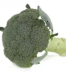 Семена капусты брокколи Орантес F1, п.е. 2500 семян (Rijk Zwaan)