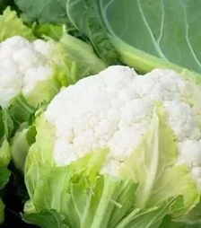 Насіння цвітної капусти Сінержі F1, п.о. 2500 насінин (Enza Zaden)