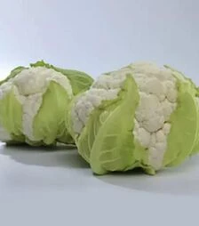 Семена цветной капусты Миссора F1, п.е. 2500 семян (Kitano Seeds)