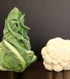 Семена цветной капусты Витон F1, п.е. 1 тыс. семян (Sakata)