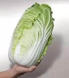 Насіння пекінської капусти Меркурий F1, 5 г (Semo)