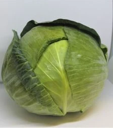 Насіння білоголової капусти ЄС 2144 F1, п.о. 500 насінин (Ergon Seed)