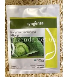 Насіння білоголової капусти Міррор F1, п.о. 25 насінин (Syngenta)