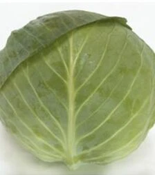 Насіння білоголової капусти Структа F1, п.о. 2,5 тис. насінин (Takii Seeds)