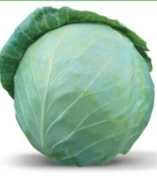 Насіння білоголової капусти Хонка F1, п.о. 1 тис. насінин (Kitano Seeds)