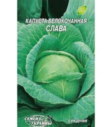 Насіння білоголової капусти Слава, 5 г (Насіння України)