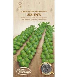 Насіння брюссельської капусти Мачуга, 5 г (Насіння України)