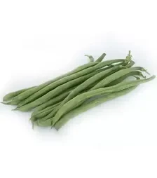 Насіння квасолі PL 117, п.о. 5000 насінин (Bakker Brothers)