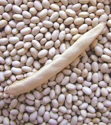 Насіння стручкової квасолі Петроніла, 2 кг (Semo)