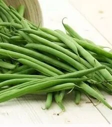 Насіння спаржевої квасолі Серенгеті F1, п.о. 100 тис. насінин (Syngenta)