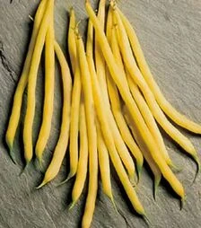 Насіння спаржевої квасолі Фруідор, 500 г (Clause)