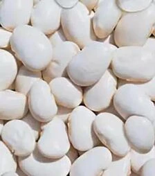 Насіння стручкової  квасолі Біла овочева, 5 кг (Коуел)
