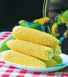 Семена кукурузы Спирит F1, 1 кг (Syngenta)