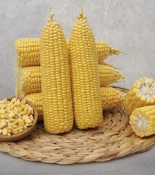 Насіння кукурудзи Флагман F1, п.о. 5 тис.насінин (May Seeds)