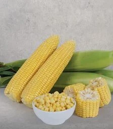 Семена кукурузы Макарон F1, п.е. 5 тыс. семян (May Seeds)