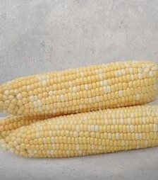 Семена кукурузы Майбико F1, п.е. 5 тыс. семян (May Seeds)