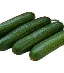 Семена огурца Базис F1, п.е. 100 семян (Spark Seeds)