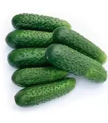 Семена огурца Джоэлина F1, п.е. 1 тыс. семян (Nunhems)