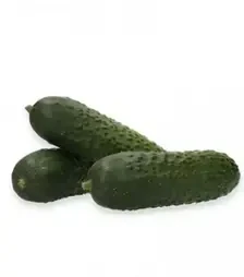 Насіння огірка Ілонара F1, п.о. 1 тис. насінин (Rijk Zwaan)
