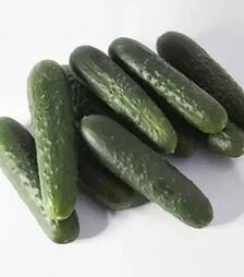 Семена огурца КС 80 F1, п.е. 1 тыс. семян (Kitano Seeds)