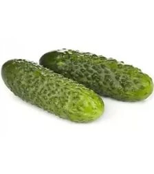 Насіння огірка Лист F1, п.о. 1 тис. насінин (Rijk Zwaan)