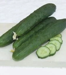 Семена огурца Ловелли F1, п.е. 1 тыс. семян (NongWoo Bio)