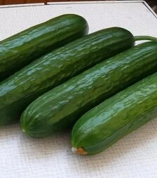 Семена огурца Базис F1, п.е. 1 тыс. семян (Spark Seeds)
