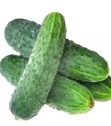 Семена огурца Аккорд F1, п.е. 25 тыс. семян (Bejo)