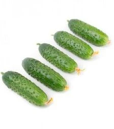 Семена огурца Триоле F1, п.е. 1 тыс. семян (Rijk Zwaan)