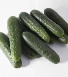 Семена огурца КС 80 F1, п.е. 500 семян (Kitano Seeds)