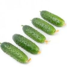 Семена огурца Триоле F1, п.е. 250 семян (Rijk Zwaan)