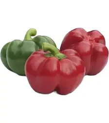 Насіння перцю Біхар F1, п.о. 1 тис. насінин (Innova Seeds)