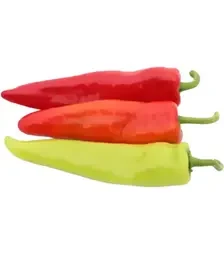 Насіння перцю Кампай F1, п.о. 500 насінин (Kitano Seeds)