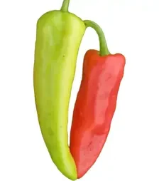 Насіння перцю Радміла F1, п.о. 250 насінин (Semo)