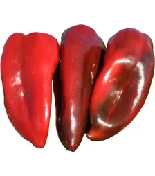 Семена перца Редкан F1, п.е. 250 семян (Clause)