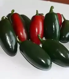 Насіння перцю 1851 F1, п.о. 500 насінин (Lark Seeds)