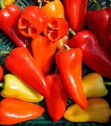 Насіння перцю Шарон F1, п.о. 1 тис. насінин (Moravoseed)