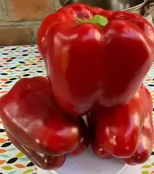 Насіння перцю 1601 F1, п.о. 500 насінин (Spark Seeds)