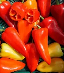 Насіння перцю Шарон F1, п.о. 500 насінин (Moravoseed)